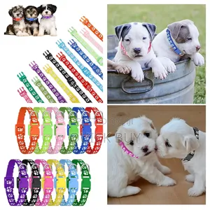 12 Pack Puppy Collars for Litter
