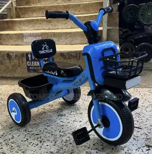 Basket Tricycle Blue