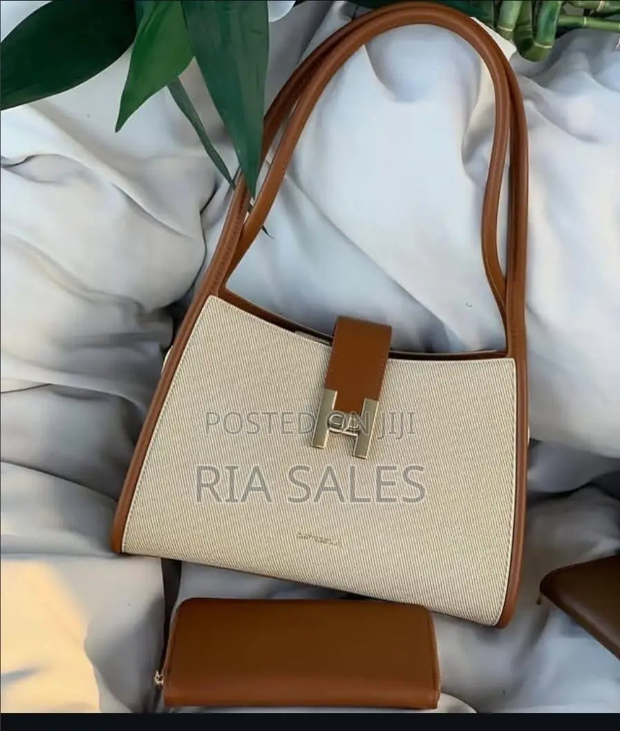 Classy Bags for Ladies