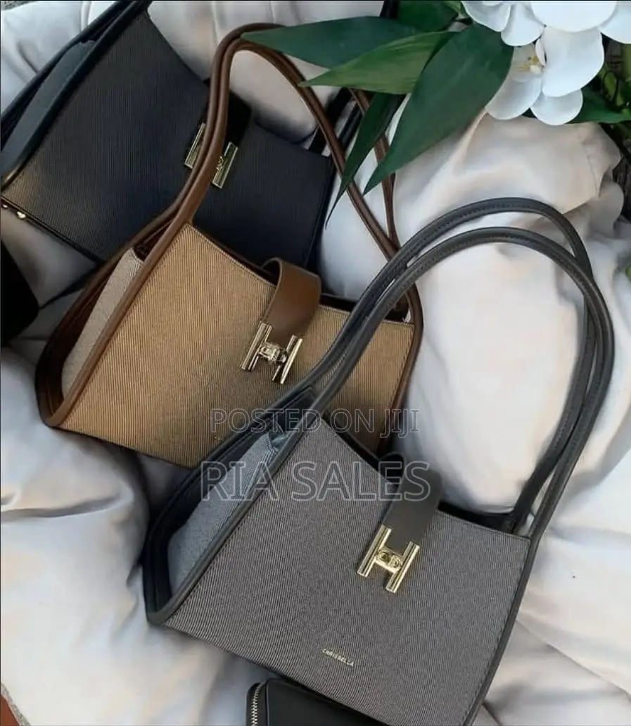 Classy Bags for Ladies