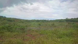 Plots on Quick Sale in Mpigi