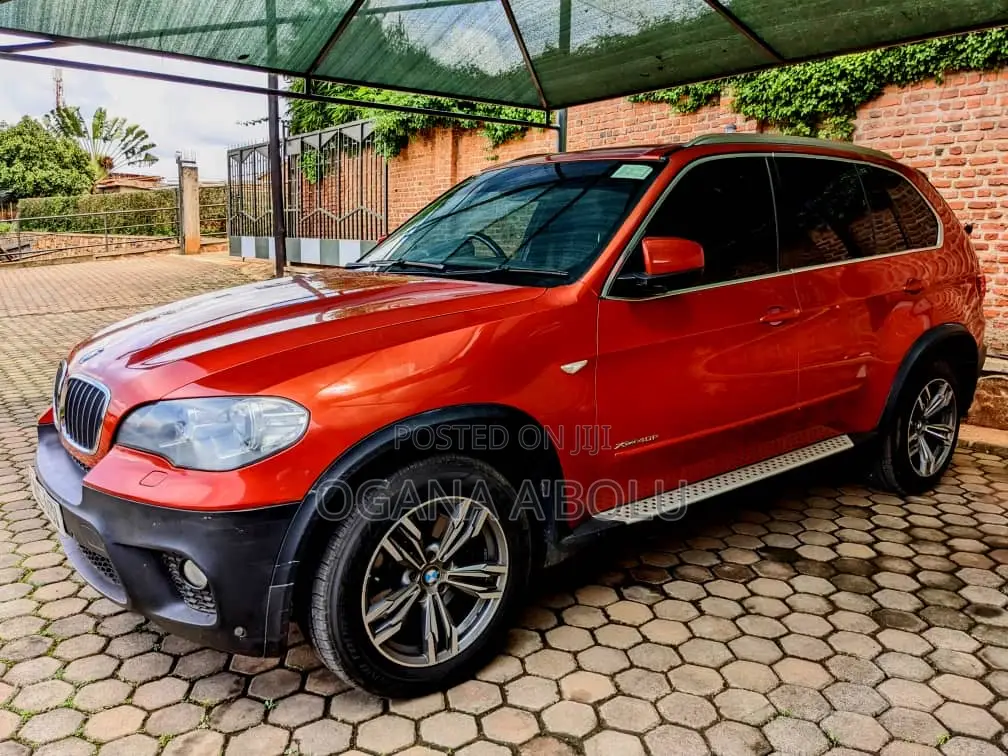 BMW X5 xDrive40d 2010 Orange