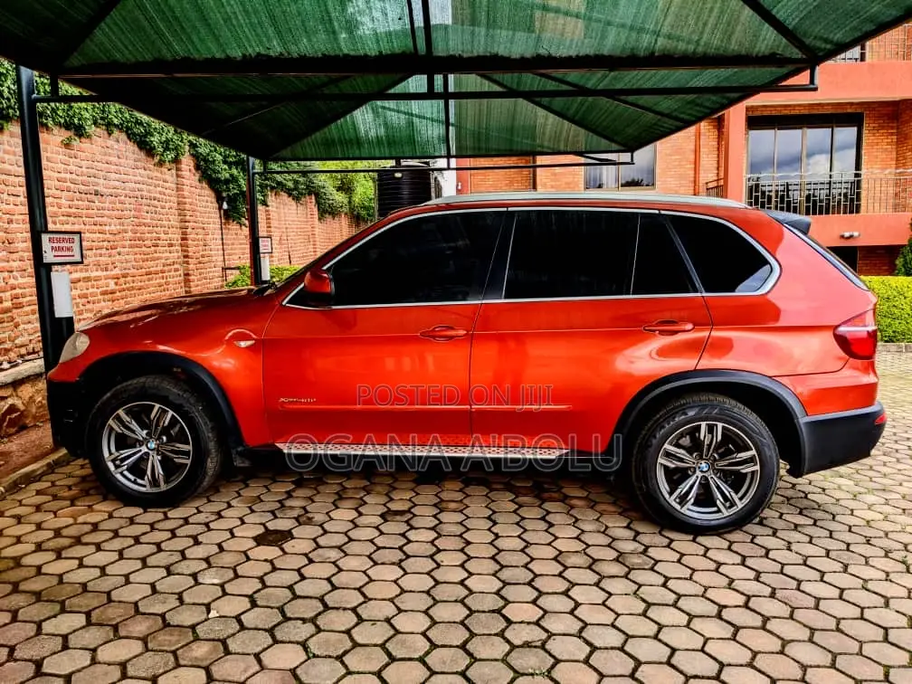 BMW X5 xDrive40d 2010 Orange