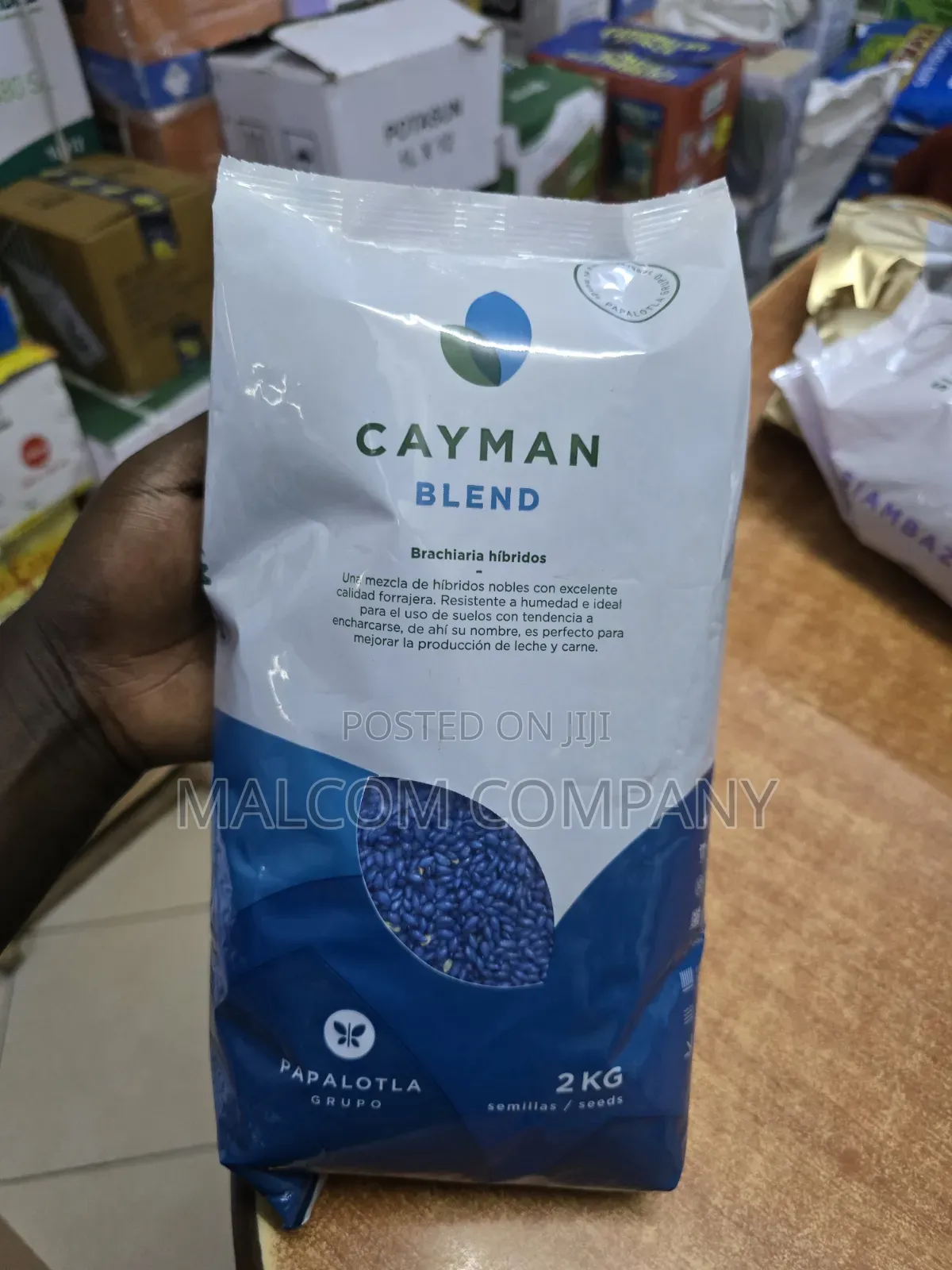 Cayman Blend Grass Pasture Seeds 2kg