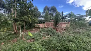 50x100 Feet Plot Available in Bukerere