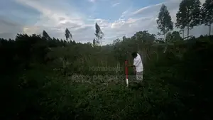 25x54feet Plot Available in Bukerere