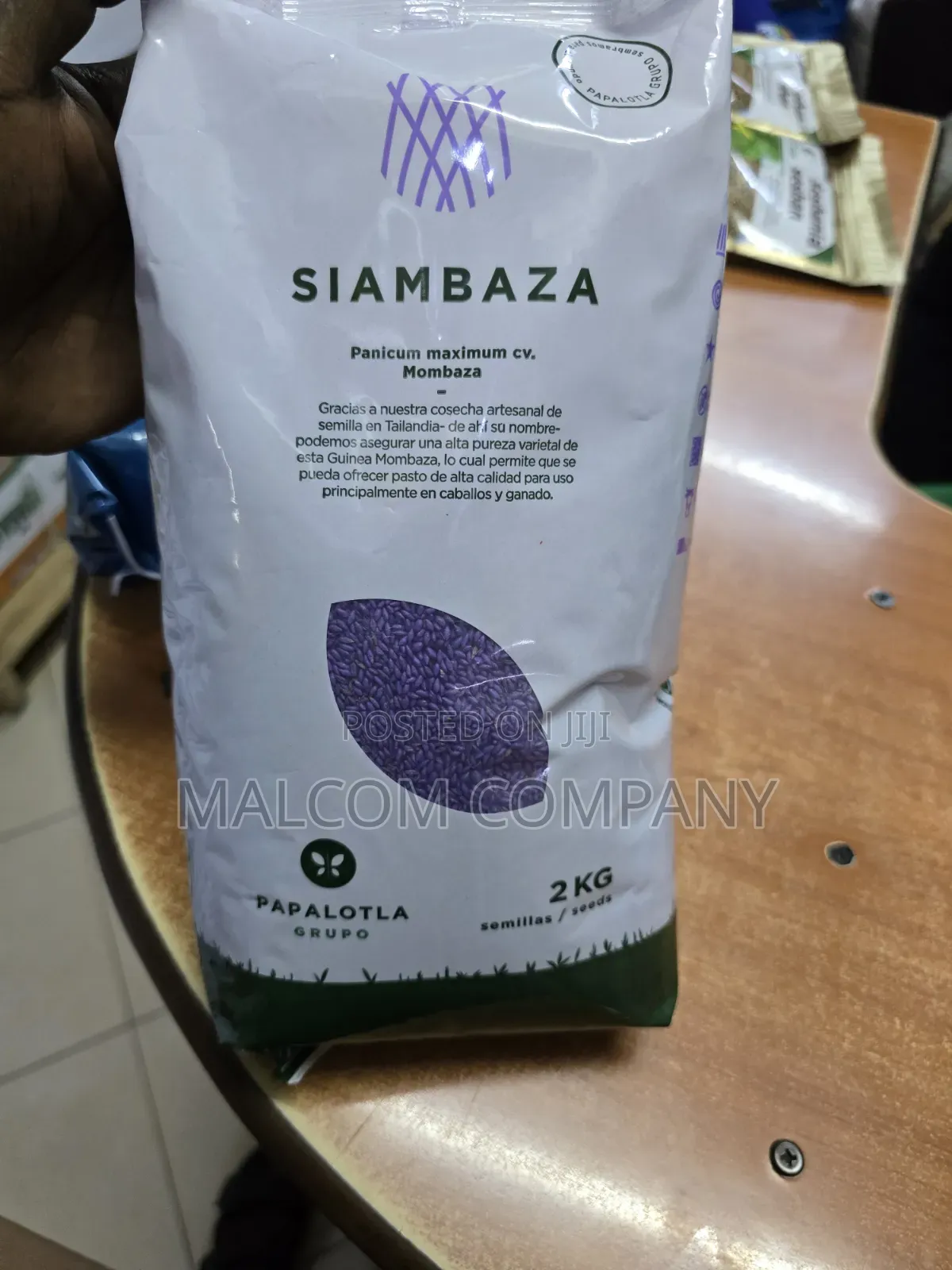 Siambaza Panicum Maximum Pasture Seeds 2kg