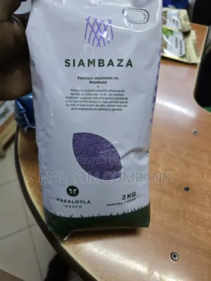Siambaza Panicum Maximum Pasture Seeds 2kg