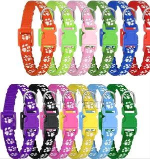 12 Pack Puppy Collars for Litter