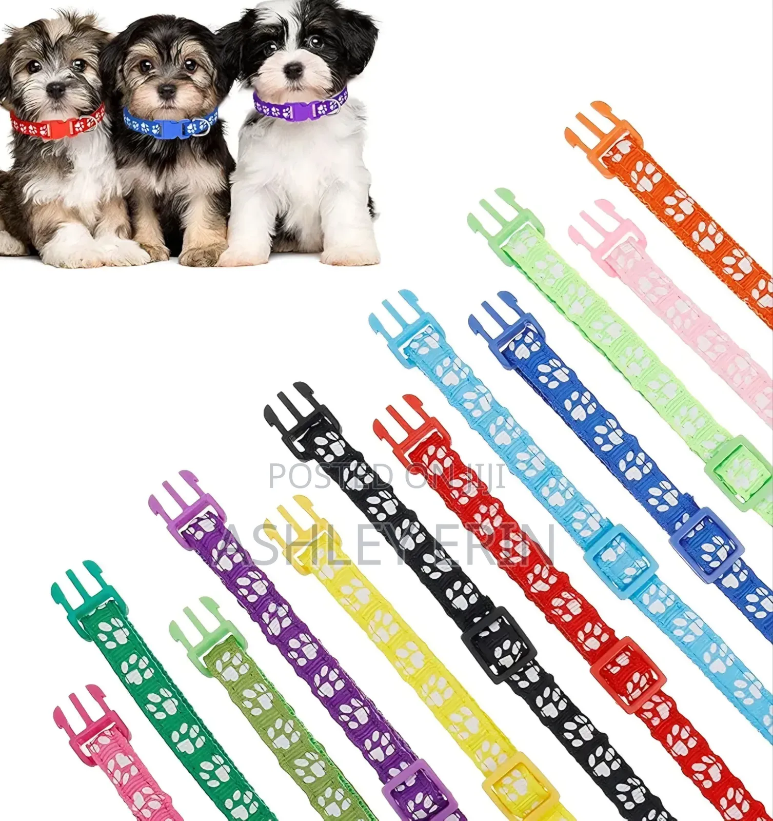 12 Pack Puppy Collars for Litter