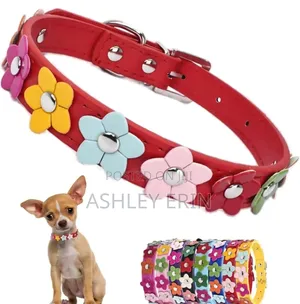 Dog Leather Collars With Fancy Pretty Colorful Flowers