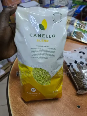 Camello Blend(hybrid Brachiaria) Forage Grass Seeds 2kg