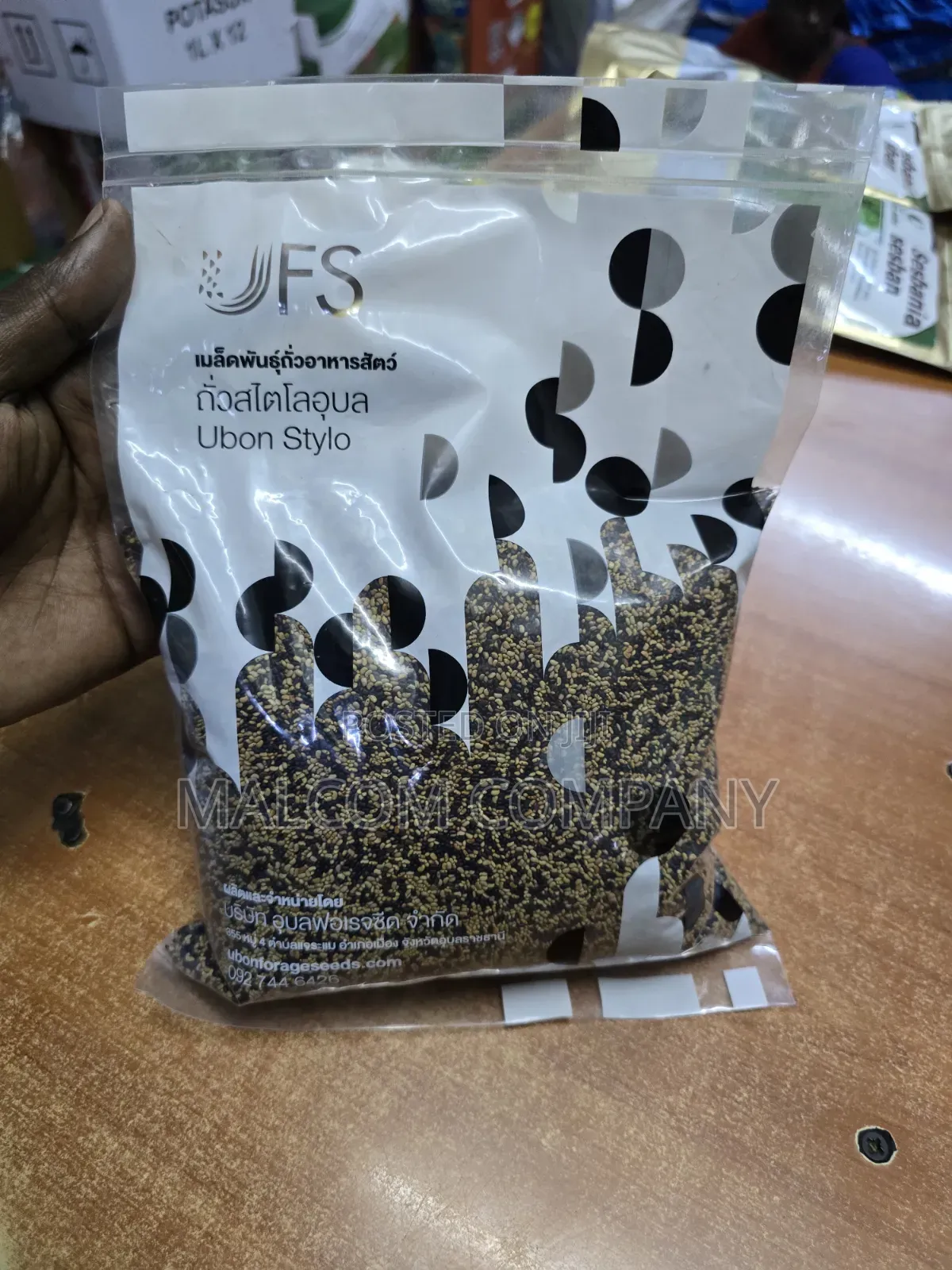Stylo Pasture Seeds 1kg