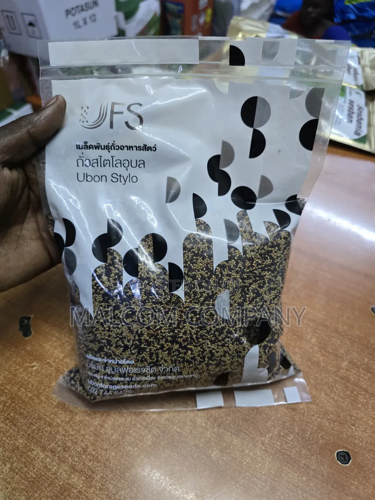 Stylo Pasture Seeds 1kg