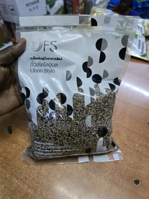 Stylo Pasture Seeds 1kg