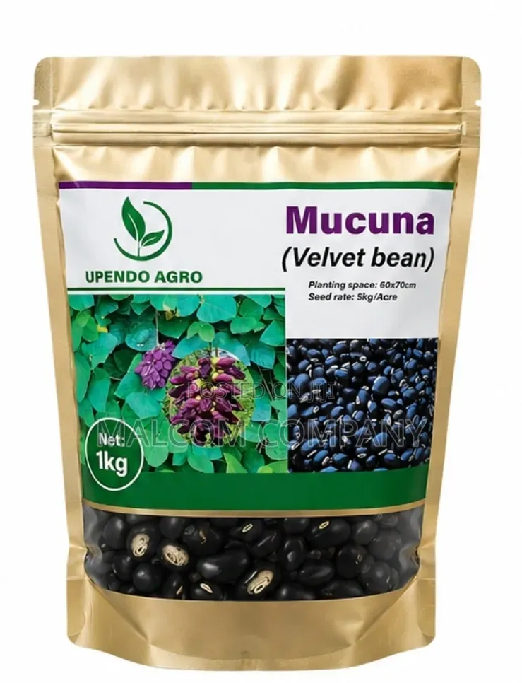 Mucuna Pasture Seeds 1kg