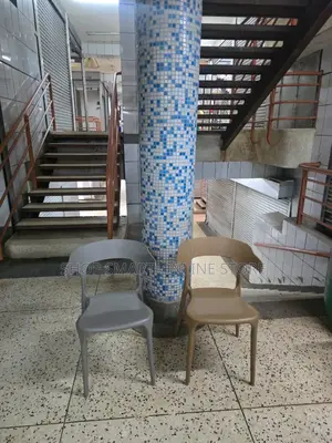 Horned Design Plastic Chairs Plastic Chairs