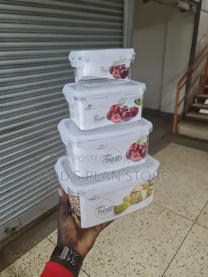 4 in 1 Rectangular Plastic Food Storage Containers