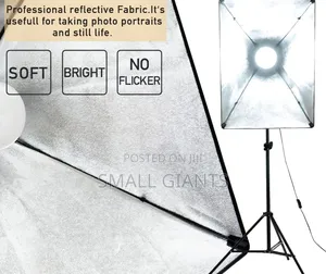 Professional Photography Studio Softbox Lighting Kit