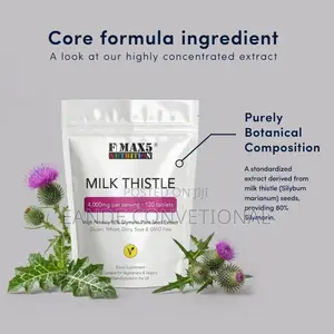 Milk Thistle Tablets High Strength 4,000mg 120 Silymarin Tablets