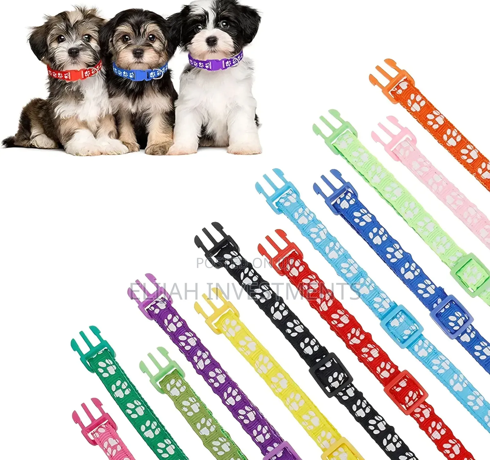 12 Pack Cat Collars