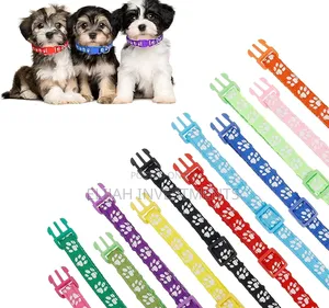 12 Pack Cat Collars