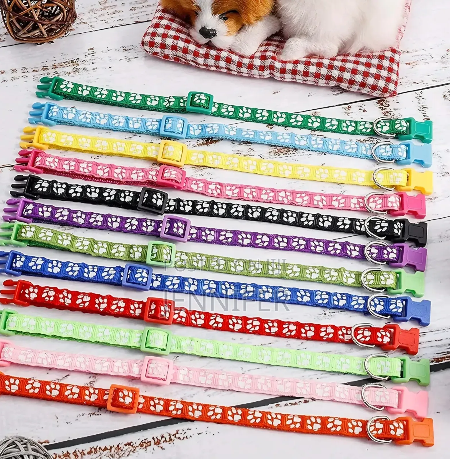 12 Pack Cat Collars