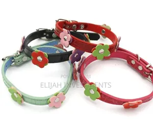 Dog Leather Collars With Fancy Pretty Colorful Flowers
