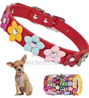 Dog Leather Collars With Fancy Pretty Colorful Flowers