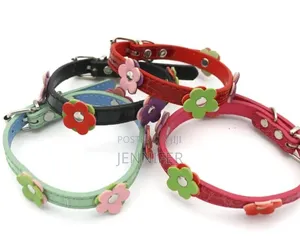 Dog Leather Collars With Fancy Pretty Colorful Flowers