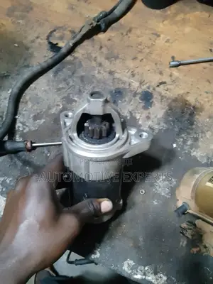 Selfstator Repair