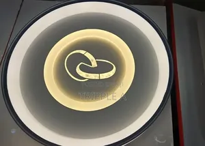 Unique Ceiling Light