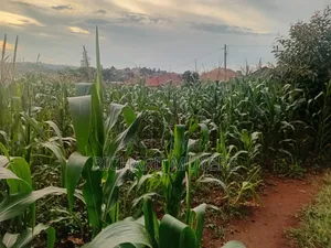 Plot for Sale at 10m Ugx in Matugga