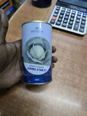 Hybrid Cabbage Seeds for One Acre 100g