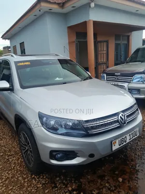 Volkswagen Tiguan 2010 Silver