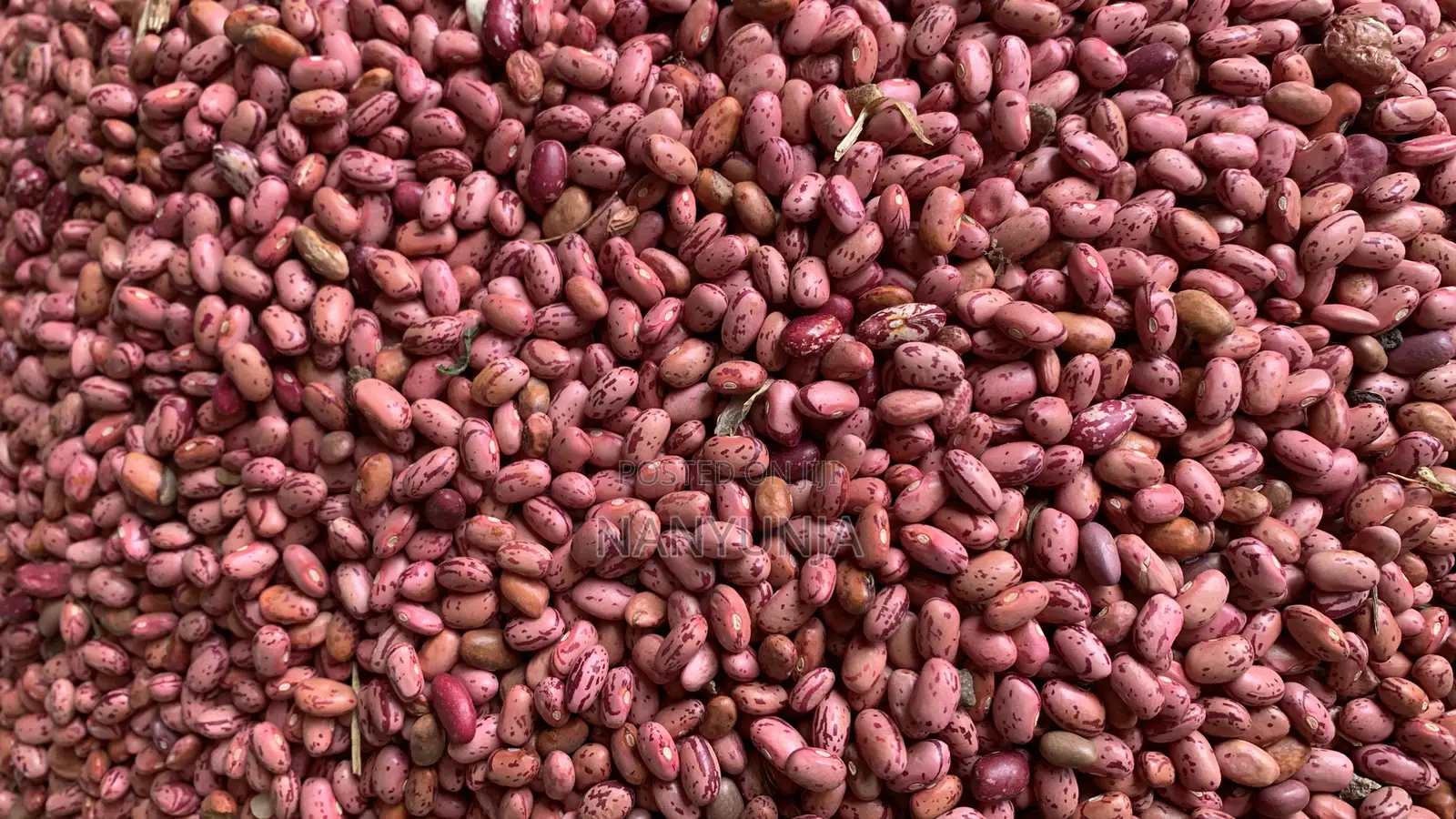 Kanyebwa/Brown Eyed Beans
