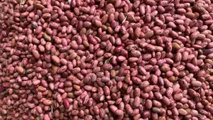 Kanyebwa/Brown Eyed Beans