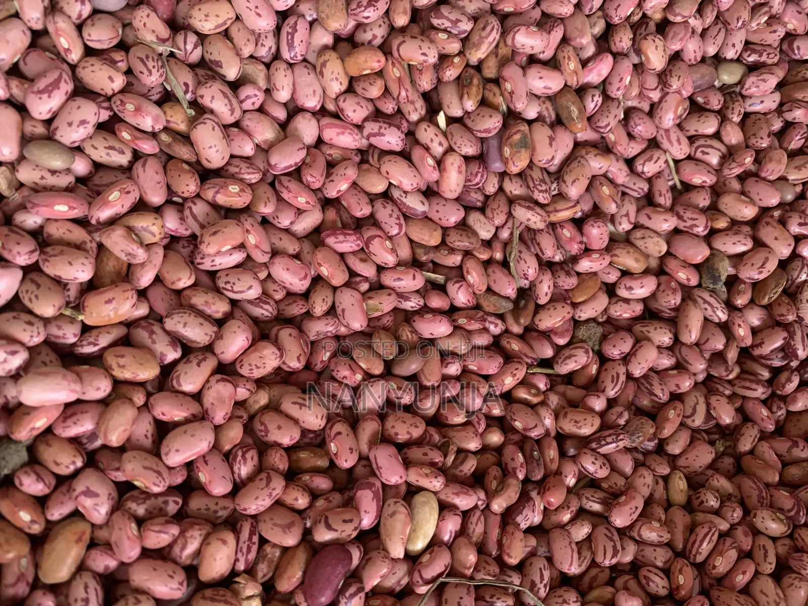 Kanyebwa/Brown Eyed Beans