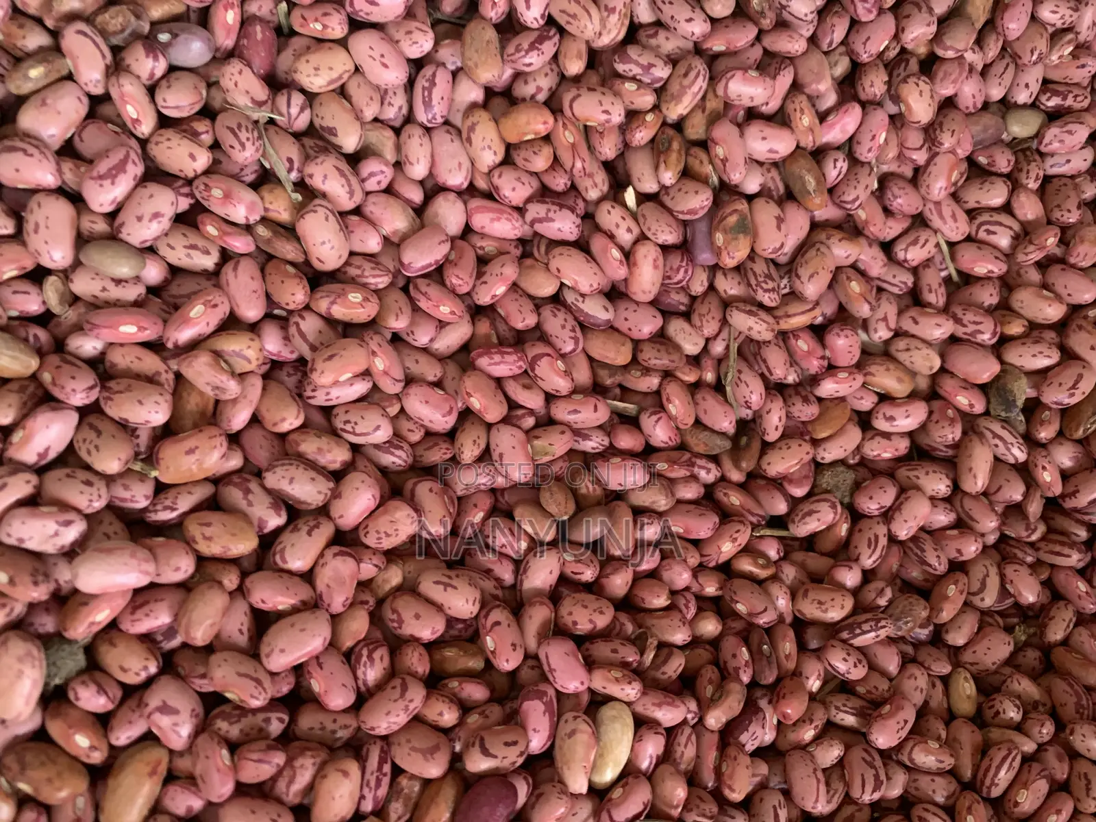 Kanyebwa/Brown Eyed Beans