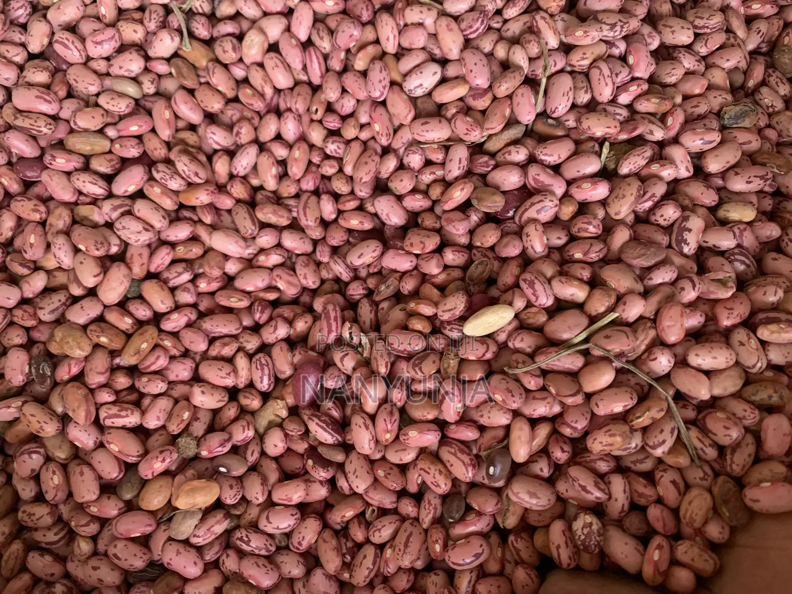Kanyebwa/Brown Eyed Beans