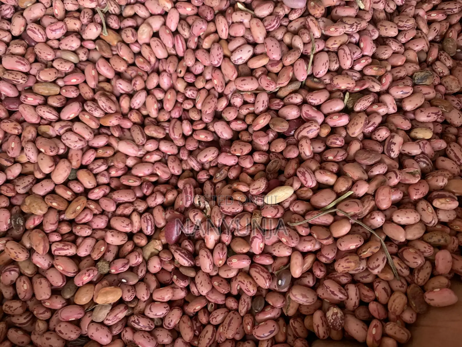 Kanyebwa/Brown Eyed Beans