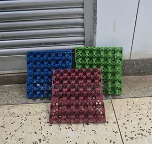 Egg Trays 50pcs
