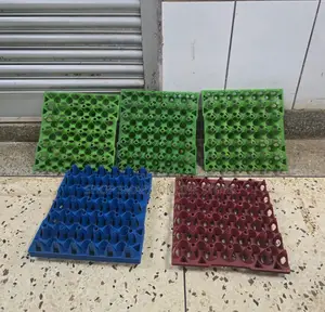 100pcs Carton Egg Trays Egg Trays
