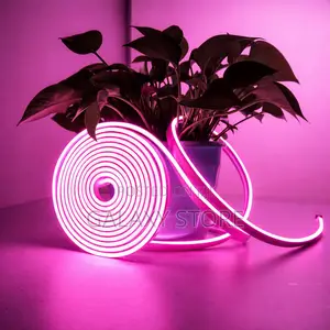 5m Pink Neon Led Rope Lights Ip65 Waterproof Flexible Silicon
