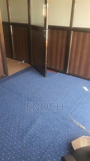 Modern Comfy Carpets