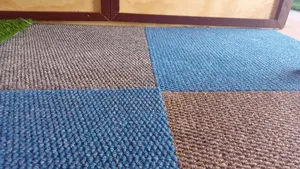 Modern Comfy Carpets