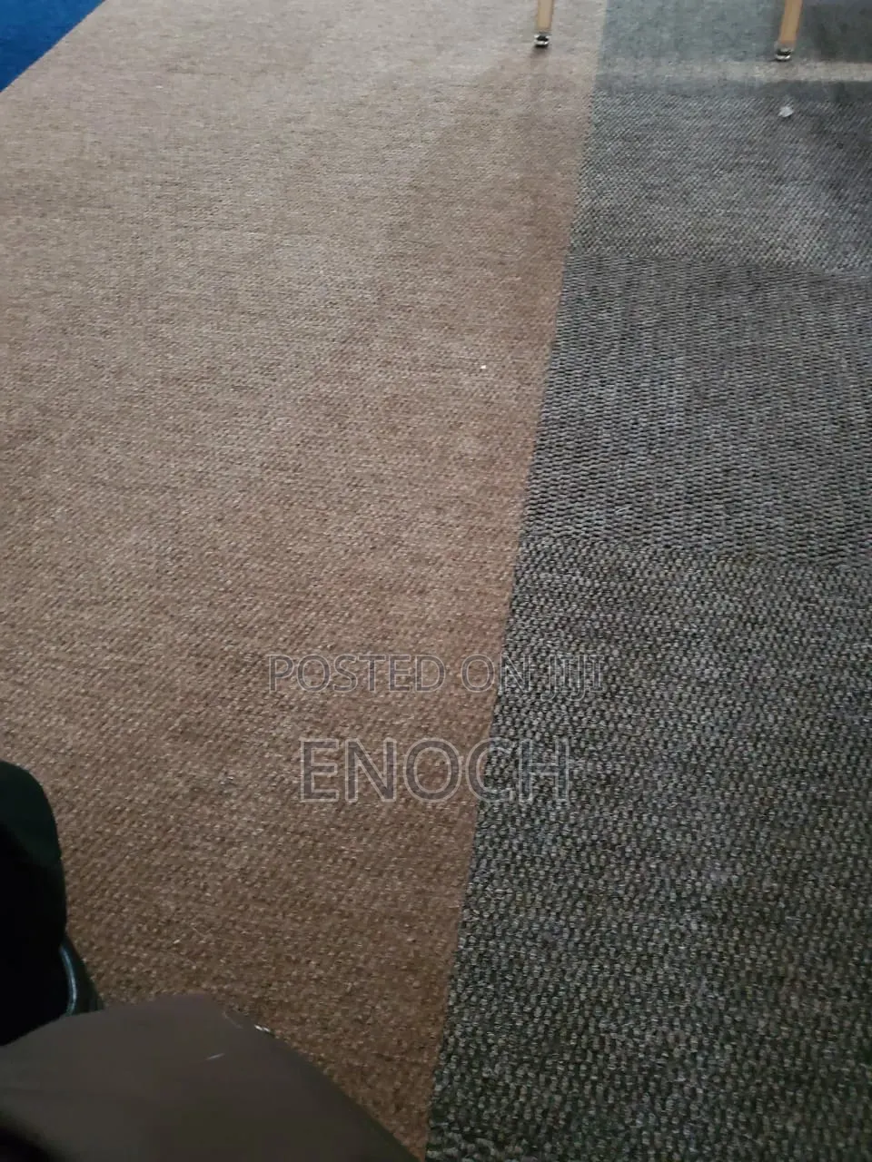 Modern Comfy Carpets