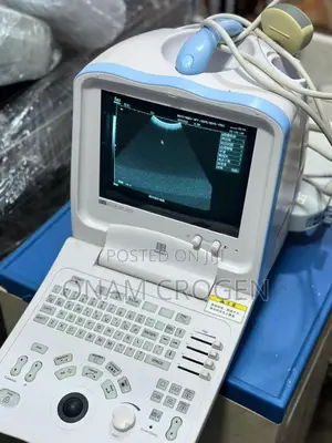 Mindray Dp 3300(Ultrasound Portable)