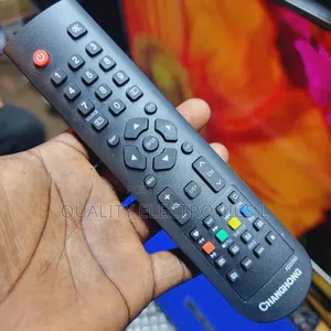 Changhong Digital Tv Remote (1)