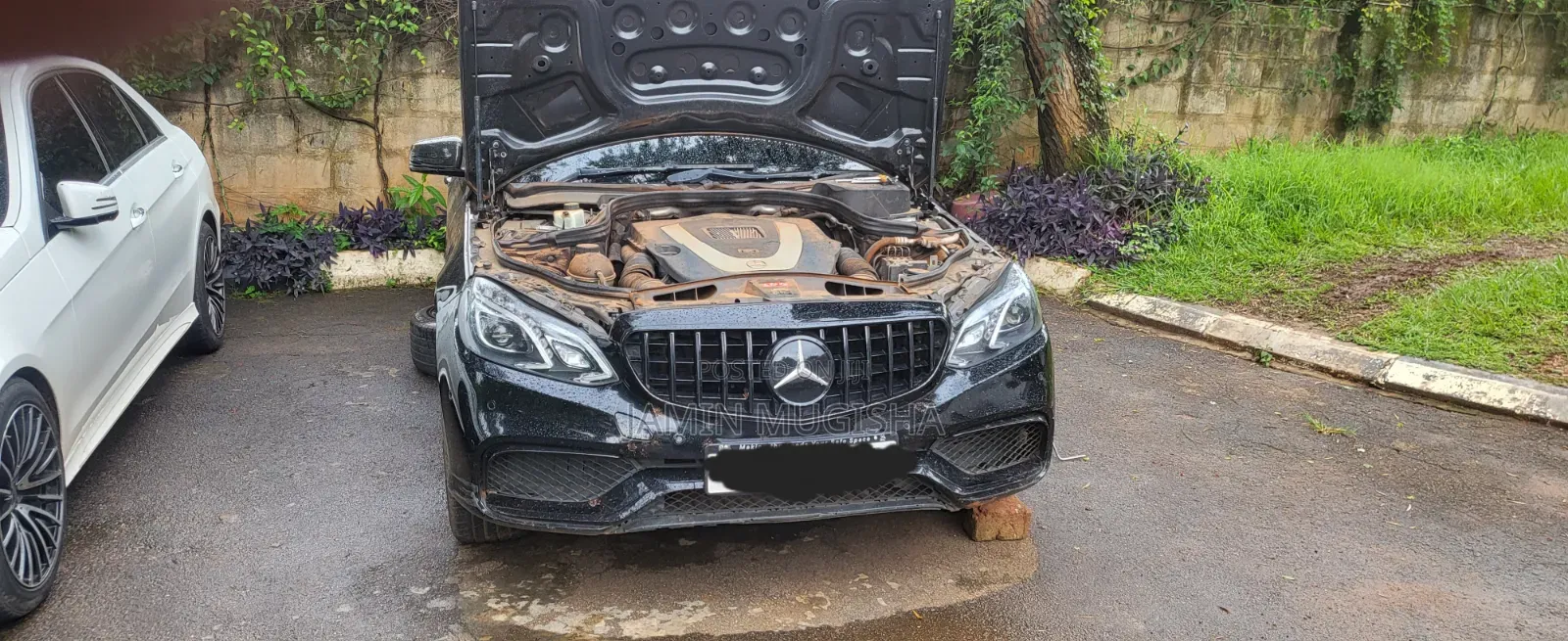 European Car Experts